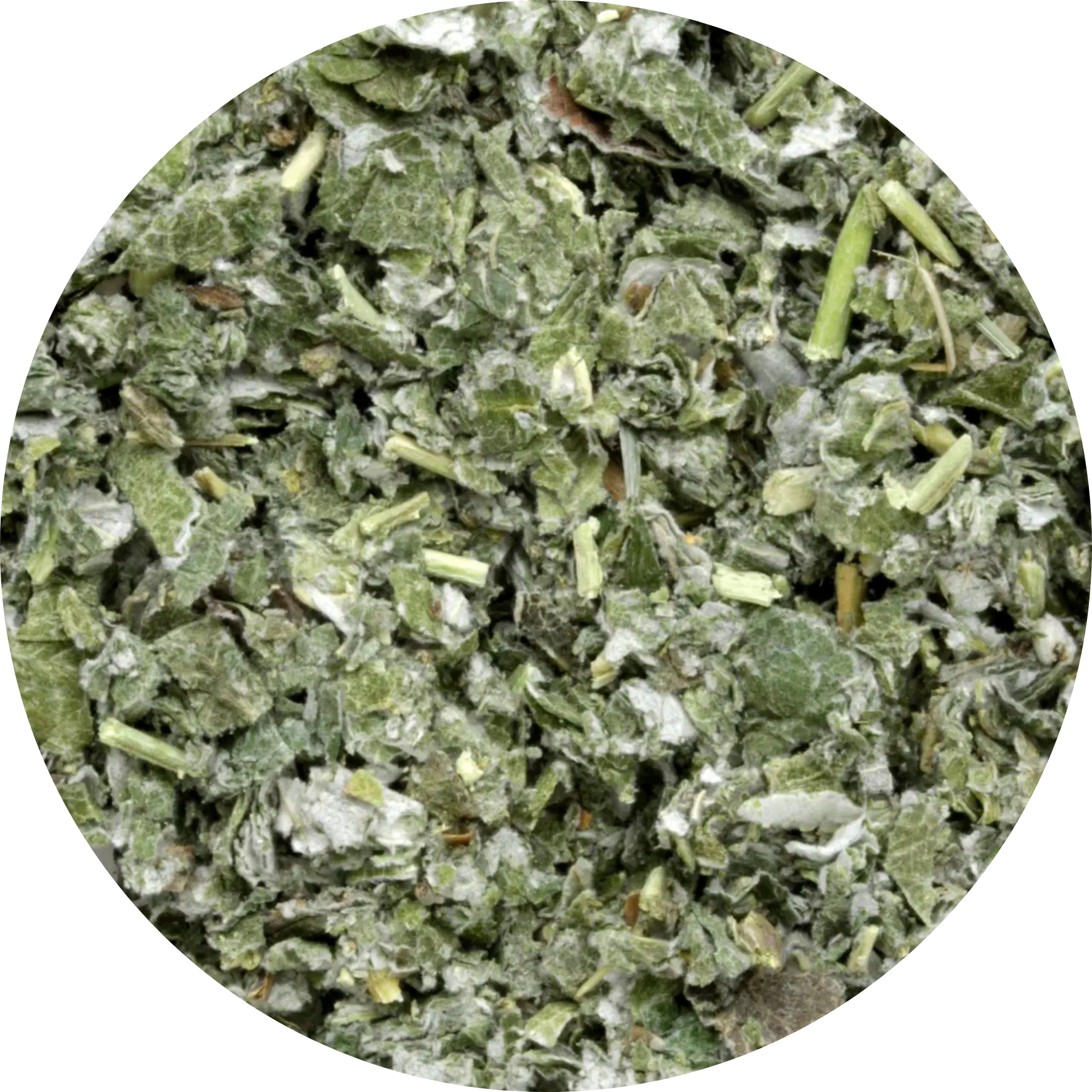 Framboosblad (75 g) - Biologische Kruiden